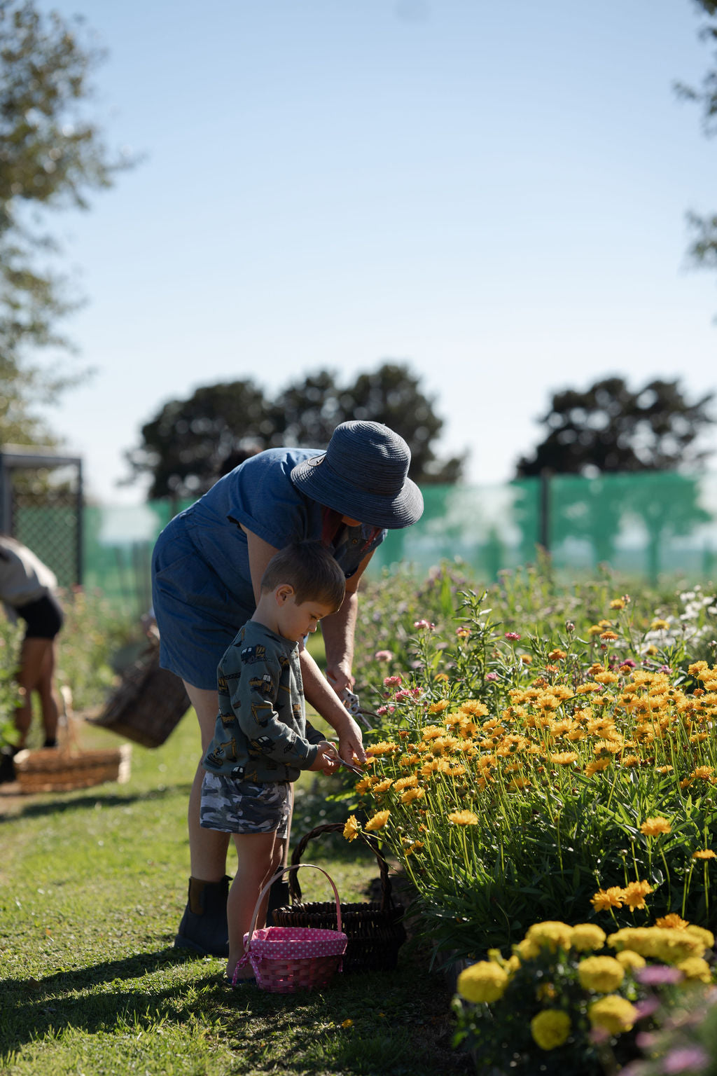 Hearts Full, Garden Open: Bee Valley Joins the Centuria Taranaki Garden Festival 2025