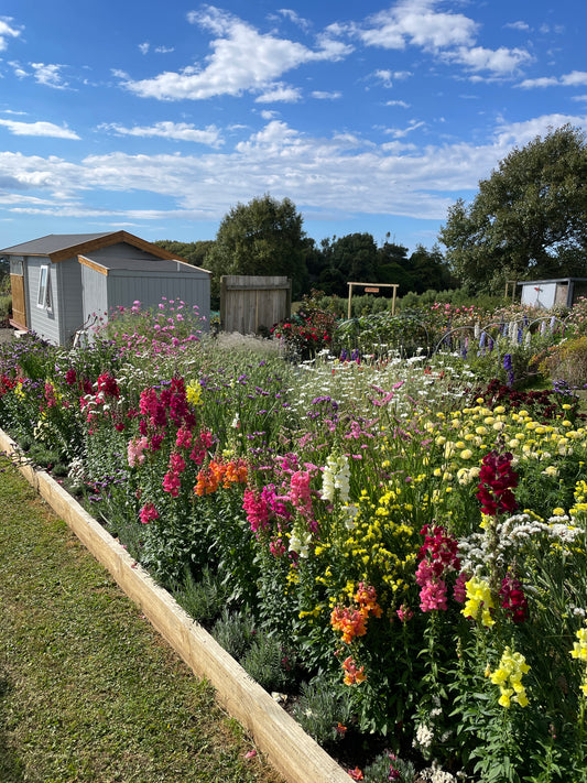 Private Flower Field Experiences with PYO flowers add ons