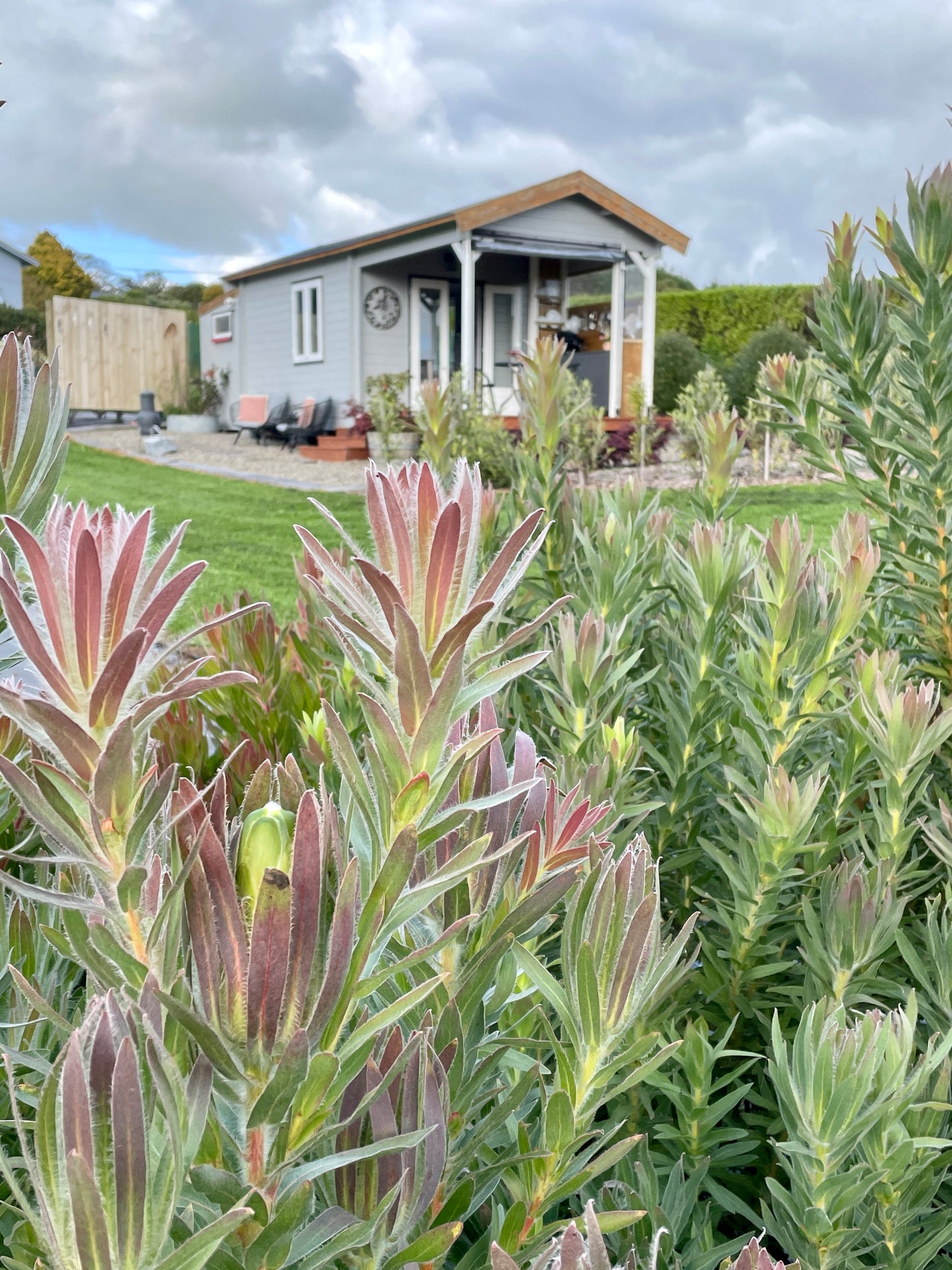 Bee Valley Glamping Cabin