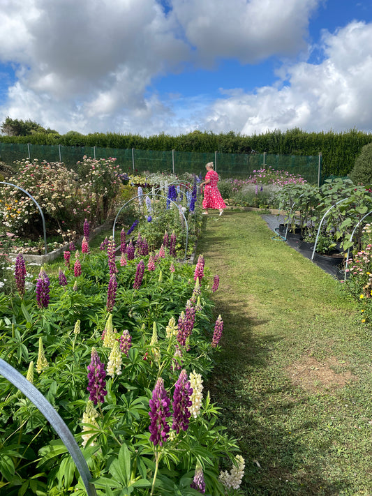 Field to Vase Flower Experience