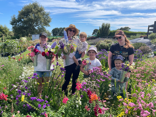Private Flower Field Experiences with PYO flowers add ons