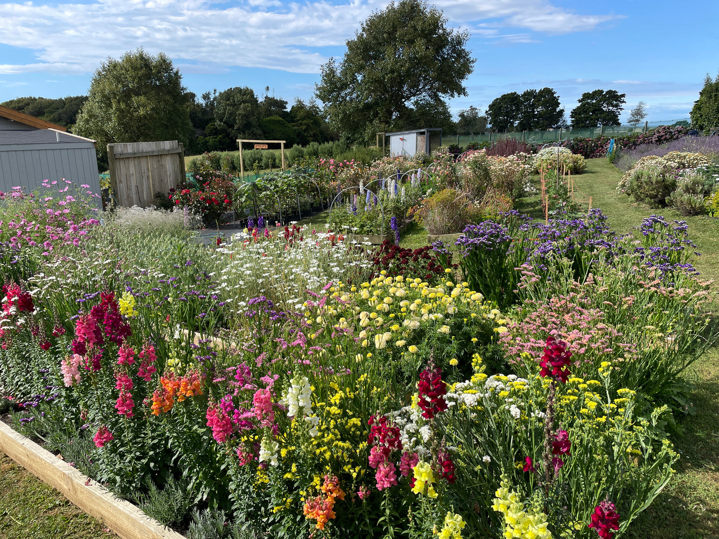 Private Flower Field Experiences with PYO flowers add ons